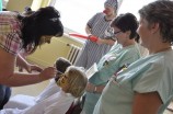 4. Paediatric Ward Tours for Elementary Schools Kids, Themed: Dont be Afraid of Hospital